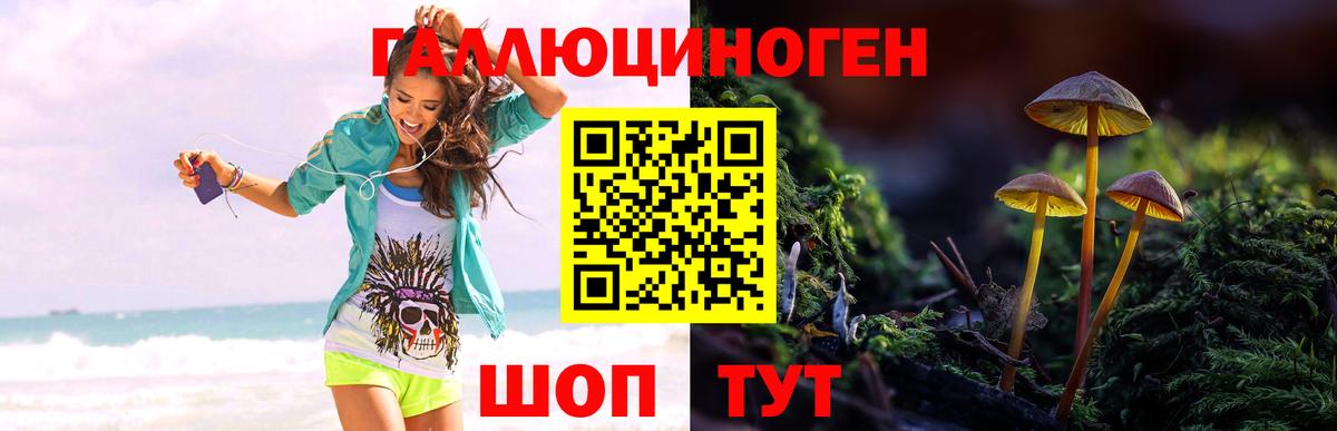 Галлюциногенные грибы MAGIC MUSHROOMS  Галлюциногенные грибы мухоморы  закладка  Вход с VPN  Королёв 
